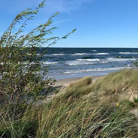 Lilly 5 Stars Hébergement de vacances *