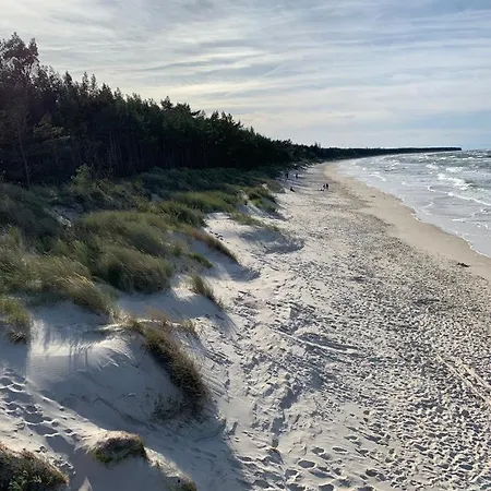 Hébergement de vacances Lilly 5 Stars *