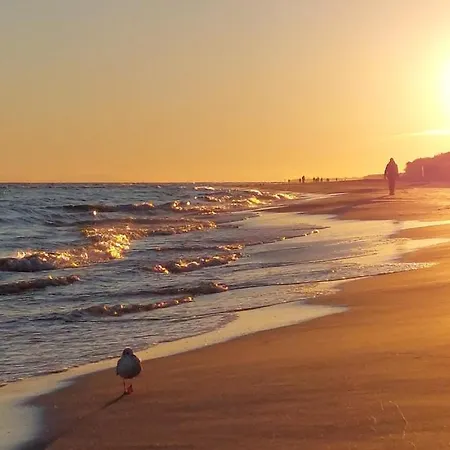 Hébergement de vacances Lilly 5 Stars