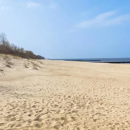 Hébergement de vacances Lilly 5 Stars *