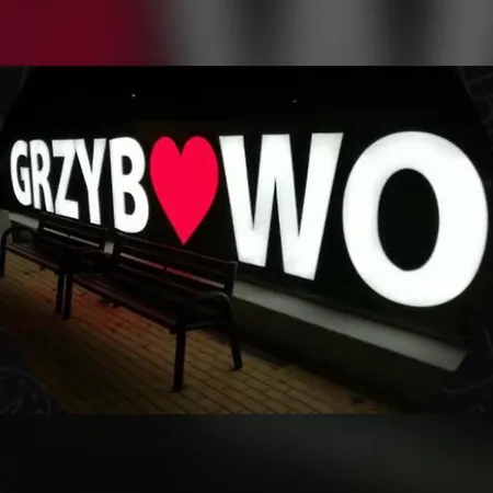 Lilly 5 Stars * Grzybowo (West Pomeranian)