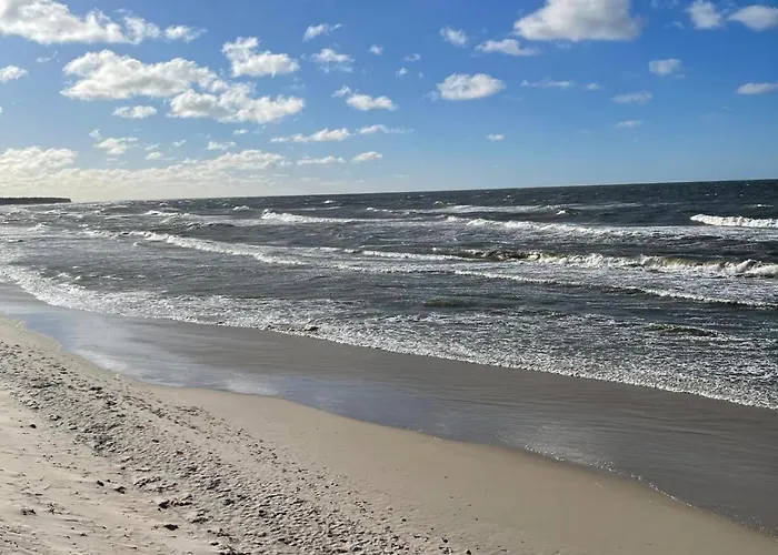 Lilly 5 Stars 格里兹鲍