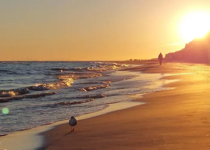 度假居 Lilly 5 Stars