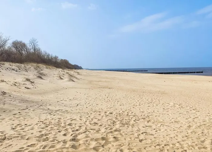 Hébergement de vacances Lilly 5 Stars *